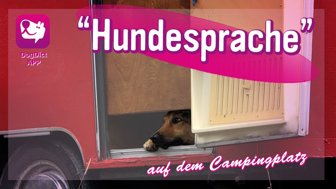 Folge 55: Die Camper - Live „Hundetrainerin“ erklärt die Hundesprache