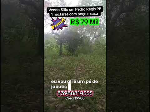 Vendo Sítio em Pedro Regis PB com 1 hectares com poço casa todo cercado e muita fruta apenas 79 mil