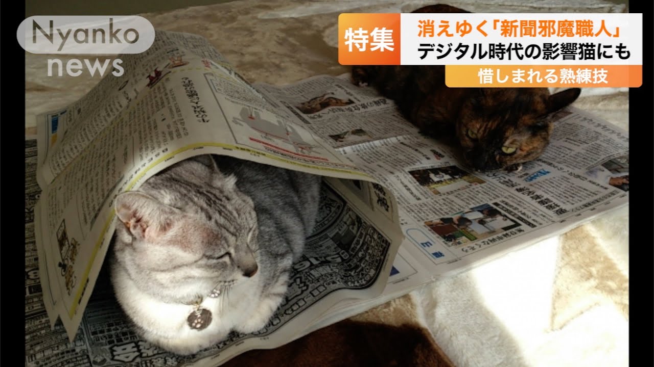 『デジタル時代のあおり受け　”人間が新聞を読む邪魔をする職人”激減　後継者不足深刻化！？』