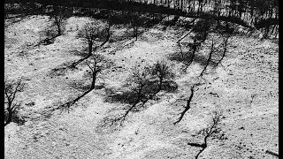 Tuesday // Max Richter (Ad Astra)