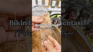 Download lagu Bikin Ikan Samu Pakasam, khas Kalimantan Selatan mp3