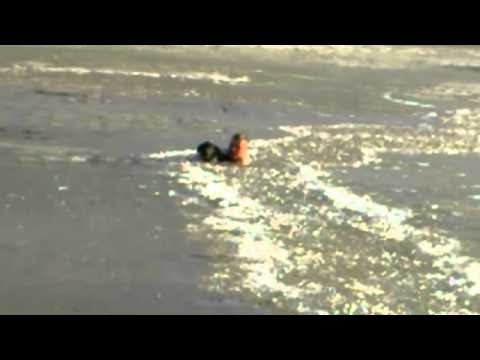 Мъж рискува живота си, за да спаси своето куче