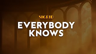 Sigrid - Everybody Knows | From Justice League (Lyrics)