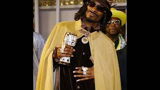 Snoop Dogg - You Like Doin It To [HQ]
