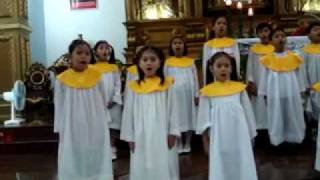 "Angels We have Heard on High" Childrens Choir -Rosario Complex, San Pedro Laguna