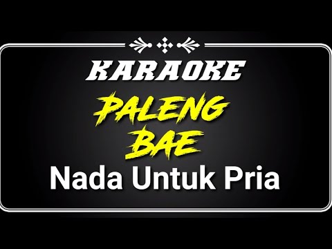 Karaoke PALENG BAE || Nada untuk pria