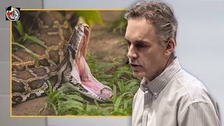 Snakes Are Deeper Than You Could Possibly Imagine