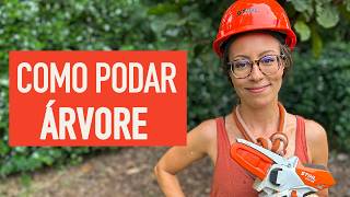 Miniatura do vídeo