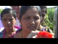 Unilever Local Sustainable Tomato Sourcing Helps Smallholder Farmers And Grows The Brand