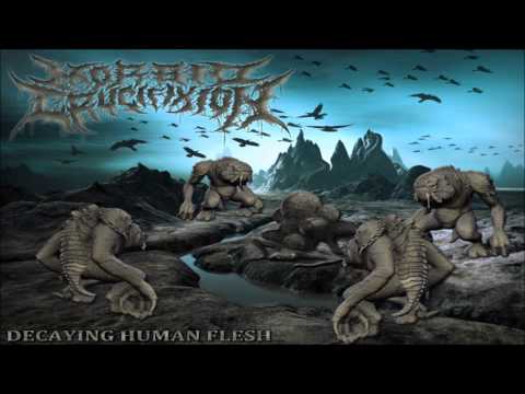 Morbid Crucifixion - Everlasting Slamiarrhea (Promo 2013)