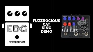 Video thumbnail for FUZZROCIOUS CAT KING DEMO  //// EVERYDAY GUITARIST by Everyday Guitarist