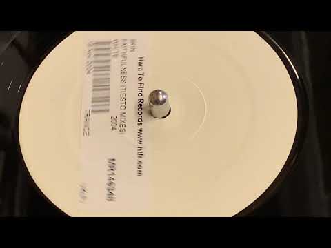 SKIN - FAITHFULNESS (TIESTO REMIX) 2004