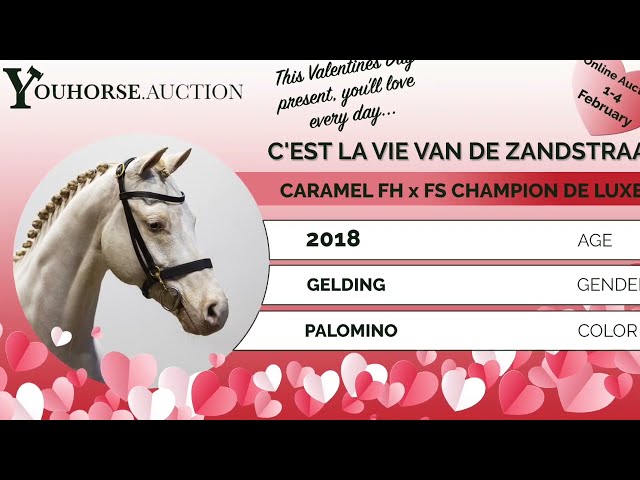 C'est la Vie impression