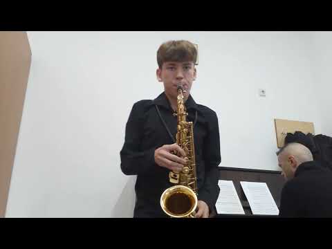 Concurs "Emanuel Elenescu" ediția XXXII-a, Apopii Marin, clasa IX