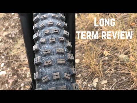 Schwalbe Hans Dampf Review