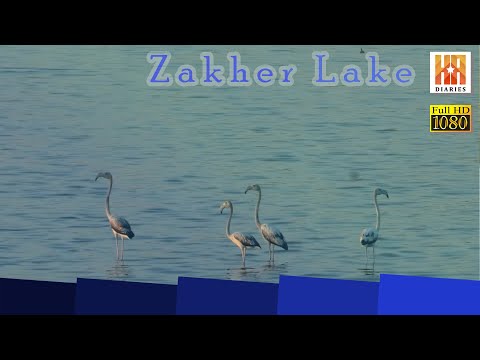 Zakher Lake Vlog. Hidden Tourist Spot in Alain(UAE).