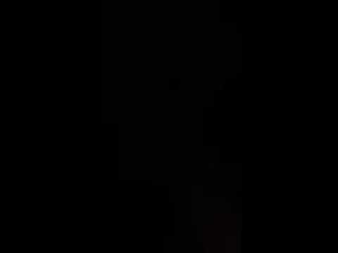 Trillmatic freestyle $igma