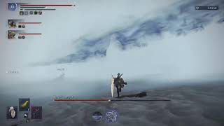 [アクション]エルデンリングナイトレイン#17 朝の深き夜
