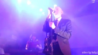 Book of Love-WITH A LITTLE LOVE-Live @ DNA Lounge, San Francisco, CA, December 2, 2015
