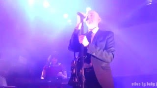 Book of Love-WITH A LITTLE LOVE-Live @ DNA Lounge, San Francisco, CA, December 2, 2015