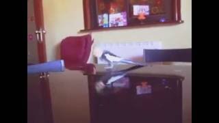 Ninfa Marco cantando Pepe trae la escoba