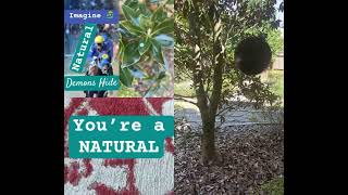 Download lagu #ratherbehinted #thanprey #thenpray #nopeace #noGod #KnowGodkmowPeace #automobile #motivation mp3 Download lagu #ratherbehinted #thanprey #thenpray #nopeace #noGod #KnowGodkmowPeace #automobile #motivation mp3