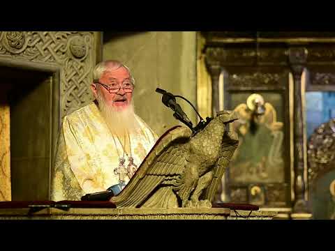 IPS Andrei: "A bright place, a green place, a place of rest" | Sermon on the 22nd Sunday after Pe...