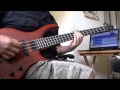 DIIV - Oshin (Subsume) (bass cover) 
