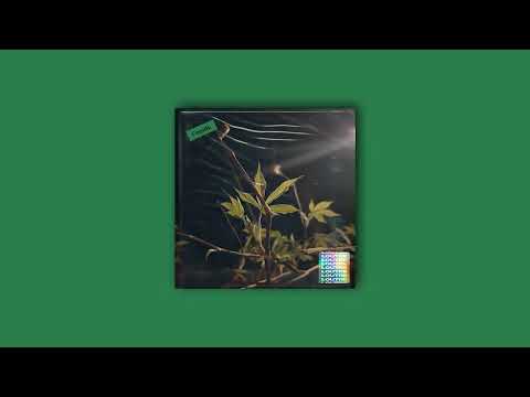 [FREE] Sheldon x Népal Type Beat - Feuille (prod. Loutre)