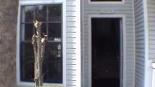 preview picture of video 'Tampa Townhomes for Rent 2BR/2.5BA by Property Management in Tampa FL'
