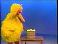 Sesame Street Big Bird Catches A Ball