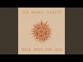 Walk into the Sun (7" Version)
