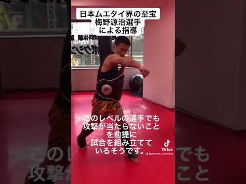 【ムエタイ王者監修】キックボクシング・ムエタイにおけるディフェンス完全解説┃パリング、ブロック、タイ式ガード、カットなどの種類の紹介からコツやポイント、練習方法まで｜PHOENIX