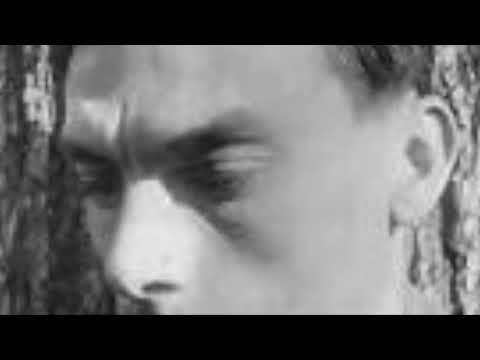 Arsenij Aleksandrovič Tarkovskij  Primi incontri