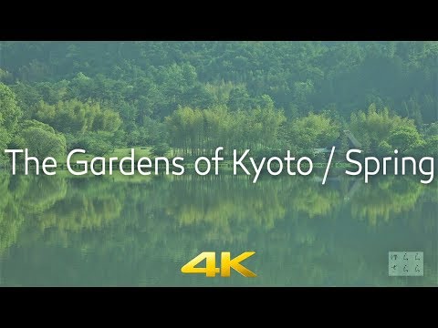 屋根の形状に従うカスタムメイドの出窓木製クラッディングのモダンなデザインの山岳避難所アンデスチリ