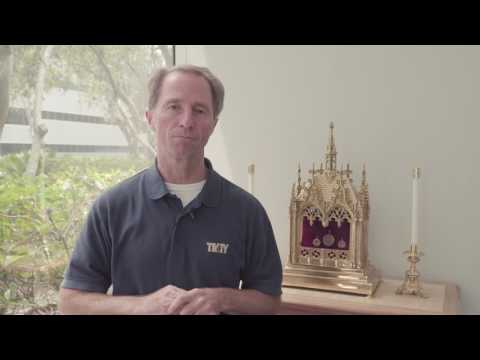 Live the Faith! The Immaculate Conception