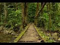 Michael Stearns - The Path Between