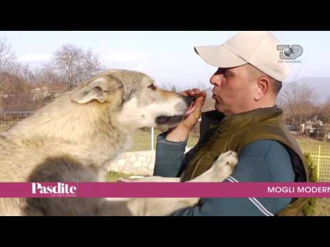 Pasdite ne TCH, 2 Mars 2017, Pjesa 4 - Top Channel Albania - Entertainment Show