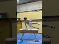 기계체조선수 토마스 연습 영상 (뽕창인생) 임창도