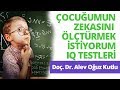 Çocuğumun Zekasını Ölçtürmek İstiyorum - IQ Testleri | Gülsüm Gençay Karadoğan