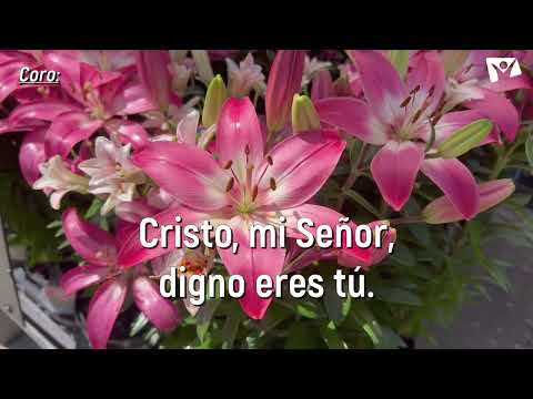 Himno 143- Digno eres tú