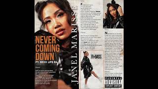 Janel Marisse - Never Coming Down ft. Rexx Life Raj (RnBass)