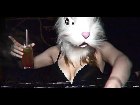 Alex & Banditen ft. Stockholm Highgrades - Hon e vild (Officiell Video)