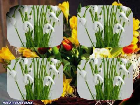 Nagyon szép zene,virágokkal!