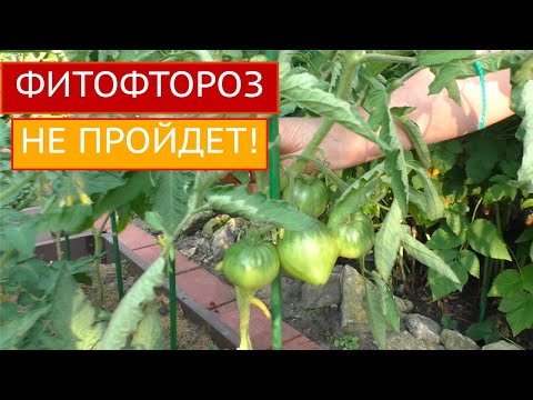 биография ларисы зарубиной садовый гид. Смотреть фото биография ларисы зарубиной садовый гид. Смотреть картинку биография ларисы зарубиной садовый гид. Картинка про биография ларисы зарубиной садовый гид. Фото биография ларисы зарубиной садовый гид биография ларисы зарубиной садовый гид. Смотреть фото биография ларисы зарубиной садовый гид. Смотреть картинку биография ларисы зарубиной садовый гид. Картинка про биография ларисы зарубиной садовый гид. Фото биография ларисы зарубиной садовый гид