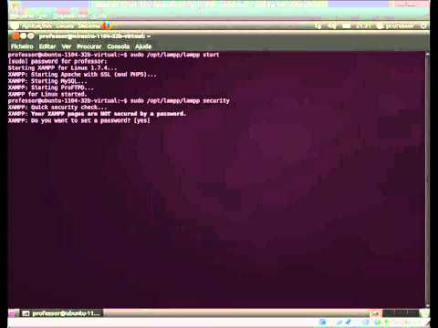 01.01- XAMPP - Configuração - Protecção básica