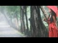 Павло Дворський - Нехай тобі розкаже дощ 