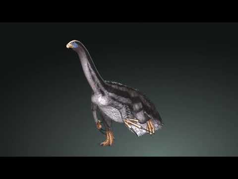 Therizinosaurus DOWNLOAD 3D MODEL FOR BLENDER - ICLONE - 3DSMAX - UNITY - UNREAL - MAYA - C4D - FBX