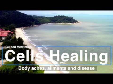 Cells healing the Body - New Guided meditation