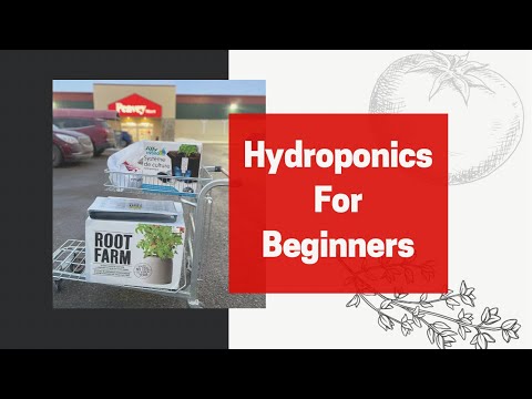 , title : 'Hydroponics For Absolute Beginners! Gardening Indoors & Constant Food Supplies During The Winter'